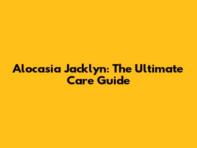 Alocasia Jacklyn: The Ultimate Care Guide