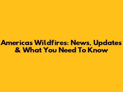 America's Wildfires: News, Updates & What You Need To Know