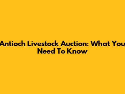Antioch Livestock Auction: What You Need To Know