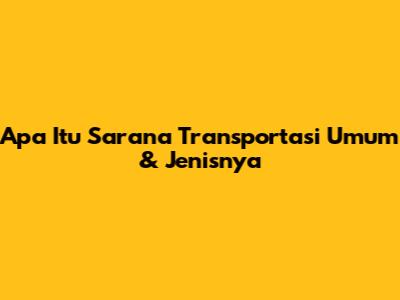 Apa Itu Sarana Transportasi Umum & Jenisnya