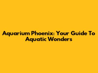 Aquarium Phoenix: Your Guide To Aquatic Wonders