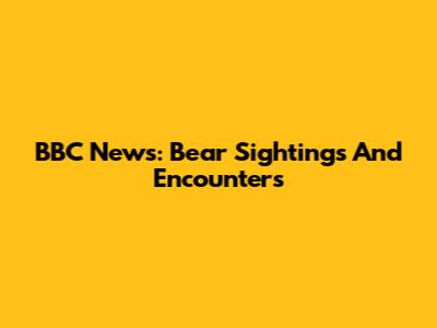 BBC News: Bear Sightings And Encounters