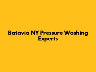 Batavia NY Pressure Washing Experts