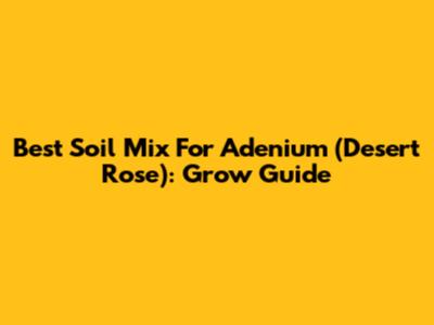 Best Soil Mix For Adenium (Desert Rose): Grow Guide