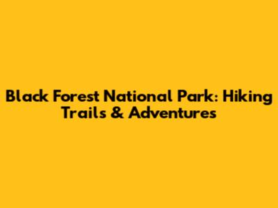 Black Forest National Park: Hiking Trails & Adventures