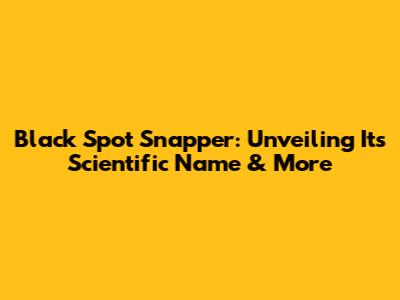 Black Spot Snapper: Unveiling Its Scientific Name & More