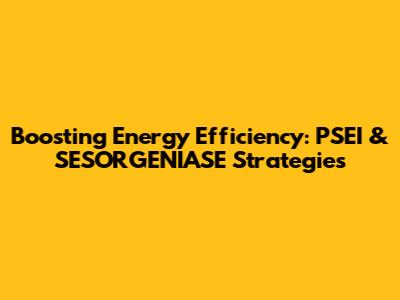 Boosting Energy Efficiency: PSEI & SESORGENIASE Strategies