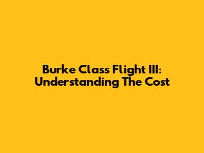 Burke Class Flight III: Understanding The Cost