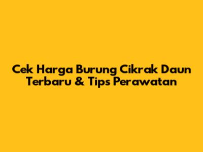 Cek Harga Burung Cikrak Daun Terbaru & Tips Perawatan
