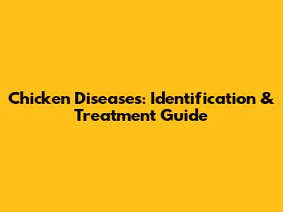 Chicken Diseases: Identification & Treatment Guide