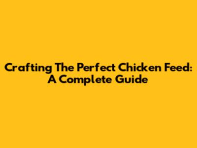 Crafting The Perfect Chicken Feed: A Complete Guide