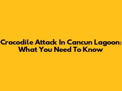 Crocodile Attack In Cancun Lagoon: What You Need To Know