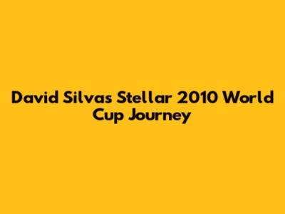 David Silva's Stellar 2010 World Cup Journey