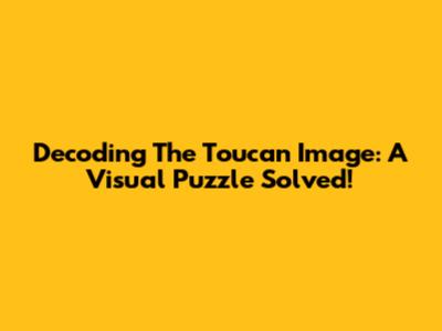 Decoding The Toucan Image: A Visual Puzzle Solved!