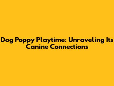 Dog Poppy Playtime: Unraveling Its Canine Connections