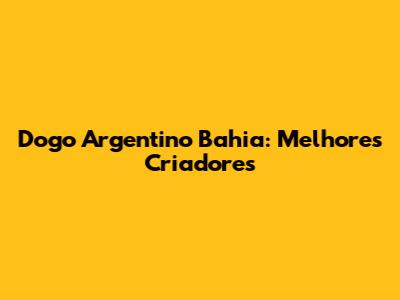 Dogo Argentino Bahia: Melhores Criadores