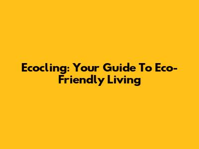 Ecocling: Your Guide To Eco-Friendly Living