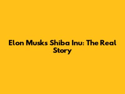 Elon Musk's Shiba Inu: The Real Story