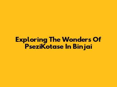 Exploring The Wonders Of PseziKotase In Binjai
