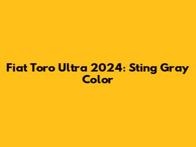 Fiat Toro Ultra 2024: Sting Gray Color