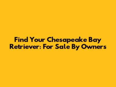 Find Your Chesapeake Bay Retriever: For Sale By Owners