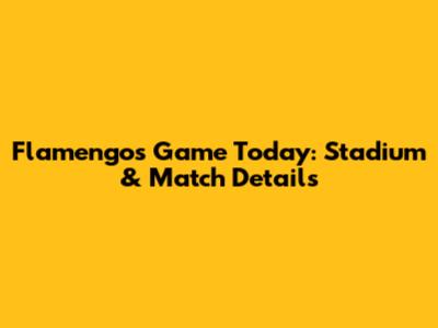 Flamengo's Game Today: Stadium & Match Details