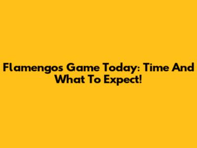 Flamengo's Game Today: Time And What To Expect!