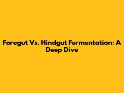 Foregut Vs. Hindgut Fermentation: A Deep Dive