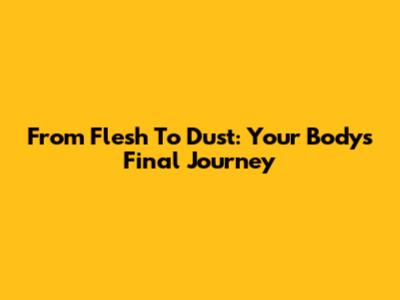 From Flesh To Dust: Your Body's Final Journey