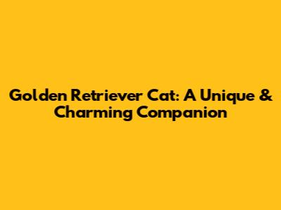 Golden Retriever Cat: A Unique & Charming Companion