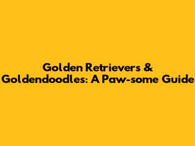 Golden Retrievers & Goldendoodles: A Paw-some Guide