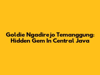 Goldie Ngadirejo Temanggung: Hidden Gem In Central Java