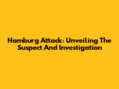 Hamburg Attack: Unveiling The Suspect And Investigation