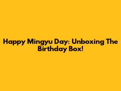 Happy Mingyu Day: Unboxing The Birthday Box!