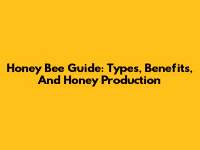 Honey Bee Guide: Types, Benefits, And Honey Production