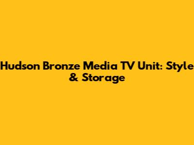 Hudson Bronze Media TV Unit: Style & Storage