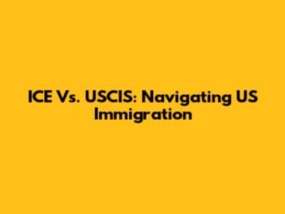ICE Vs. USCIS: Navigating US Immigration