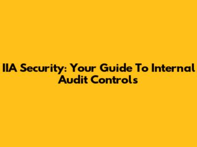 IIA Security: Your Guide To Internal Audit Controls
