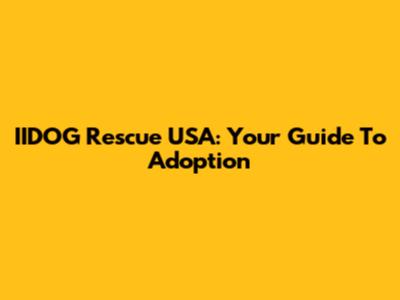 IIDOG Rescue USA: Your Guide To Adoption