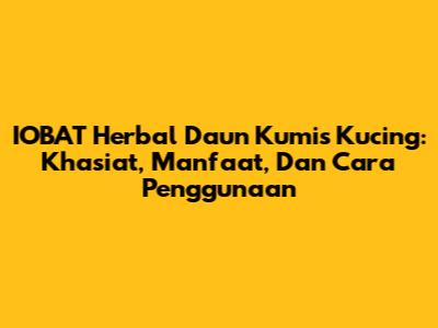 IOBAT Herbal Daun Kumis Kucing: Khasiat, Manfaat, Dan Cara Penggunaan