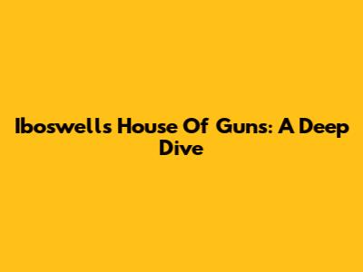 Iboswell's House Of Guns: A Deep Dive