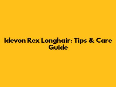 Idevon Rex Longhair: Tips & Care Guide