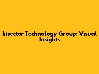 Iiisector Technology Group: Visual Insights