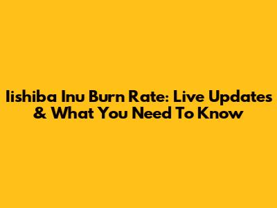 Iishiba Inu Burn Rate: Live Updates & What You Need To Know