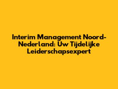 Interim Management Noord-Nederland: Uw Tijdelijke Leiderschapsexpert