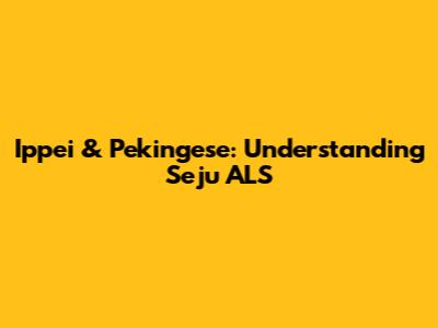 Ippei & Pekingese: Understanding Seju ALS