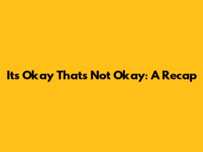 It's Okay That's Not Okay: A Recap