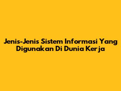 Jenis-Jenis Sistem Informasi Yang Digunakan Di Dunia Kerja