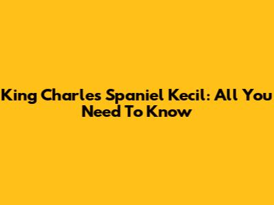 King Charles Spaniel Kecil: All You Need To Know
