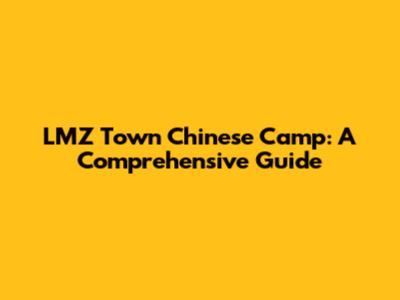 LMZ Town Chinese Camp: A Comprehensive Guide